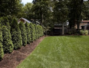 Landscaping on Long Island